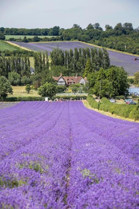 White Hill Lodge - Rustic Cabin Set In A Stunning Meadow Sevenoaks Εξωτερικό φωτογραφία