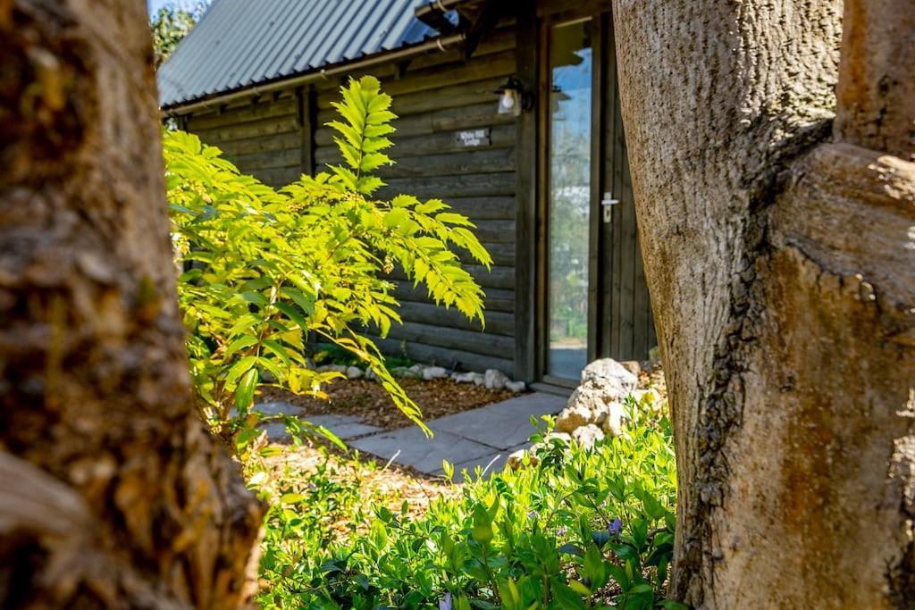 White Hill Lodge - Rustic Cabin Set In A Stunning Meadow Sevenoaks Εξωτερικό φωτογραφία