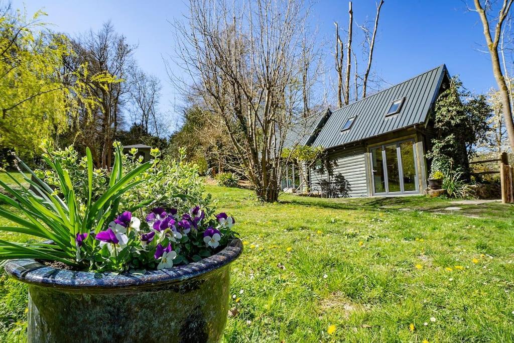 White Hill Lodge - Rustic Cabin Set In A Stunning Meadow Sevenoaks Εξωτερικό φωτογραφία