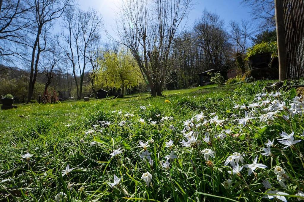 White Hill Lodge - Rustic Cabin Set In A Stunning Meadow Sevenoaks Εξωτερικό φωτογραφία