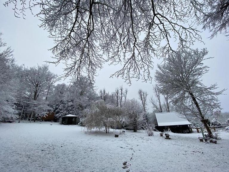 White Hill Lodge - Rustic Cabin Set In A Stunning Meadow Sevenoaks Εξωτερικό φωτογραφία